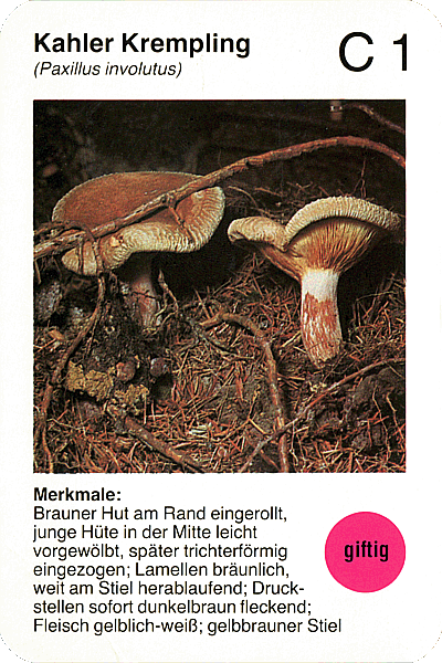 Spielkarte