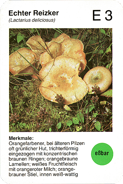 Spielkarte