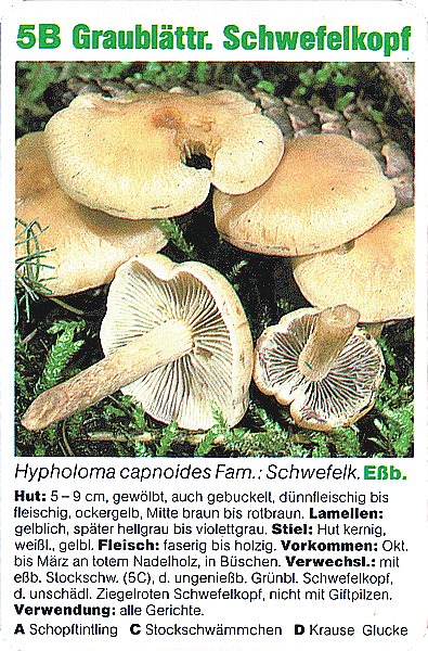 Spielkarte