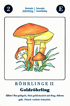 Spielkarte