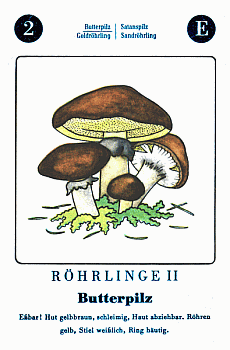 Spielkarte
