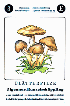 Spielkarte