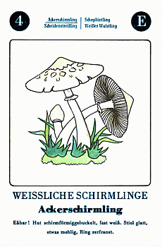 Spielkarte