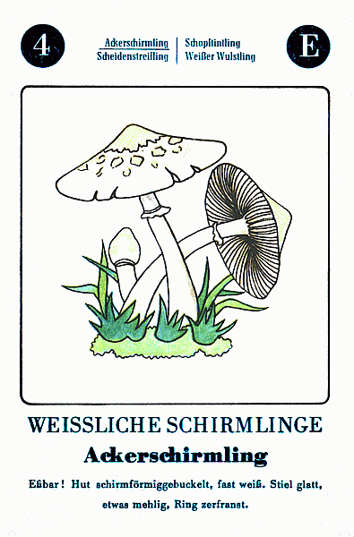 Spielkarte