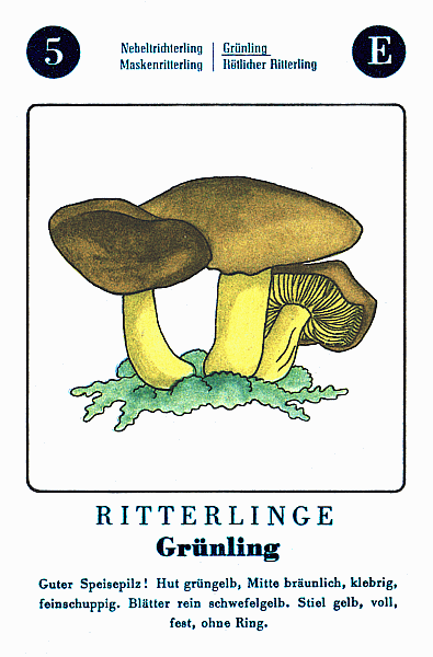 Spielkarte