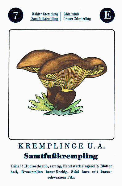 Spielkarte