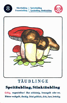 Spielkarte