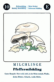 Spielkarte