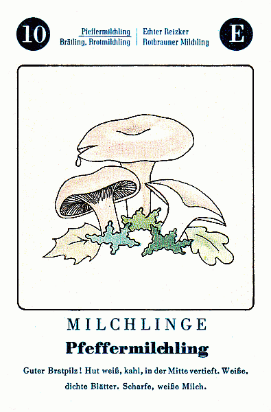 Spielkarte