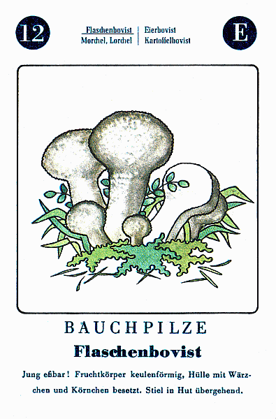 Spielkarte