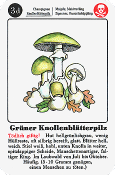 Spielkarte