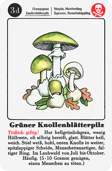 Spielkarte