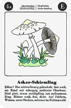 Spielkarte