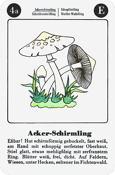Spielkarte