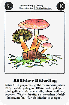 Spielkarte