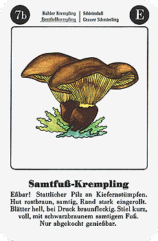 Spielkarte