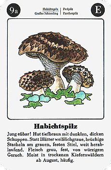 Spielkarte