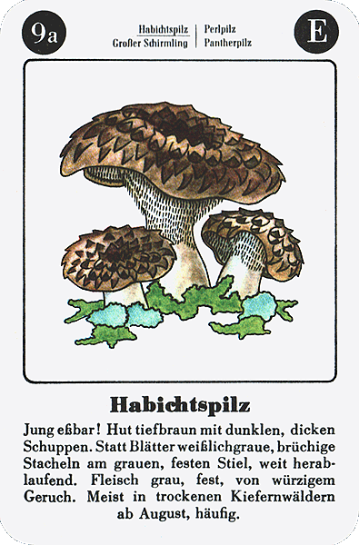 Spielkarte