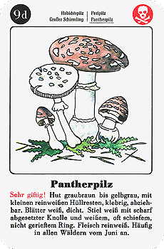 Spielkarte