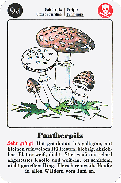 Spielkarte