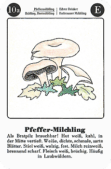 Spielkarte