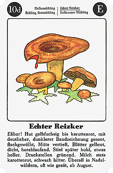 Spielkarte