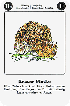 Spielkarte