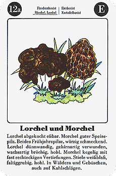 Spielkarte