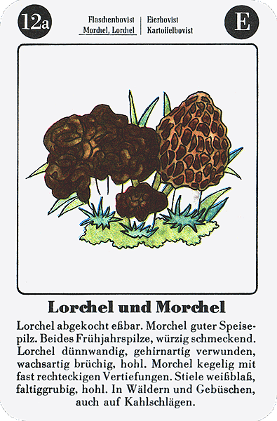 Spielkarte