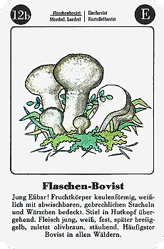 Spielkarte