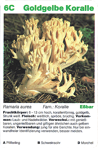 Spielkarte