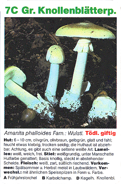 Spielkarte