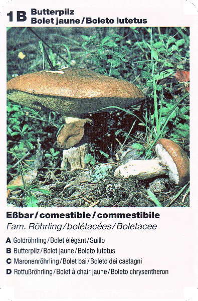Spielkarte