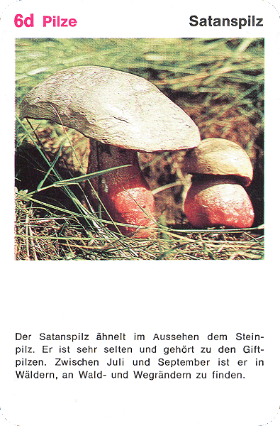 Spielkarte
