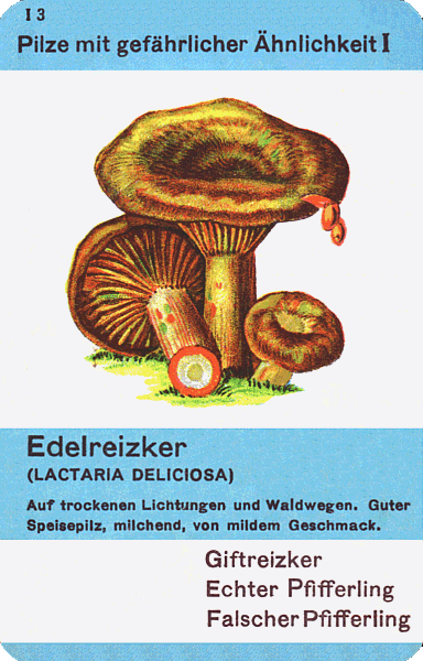 Spielkarte