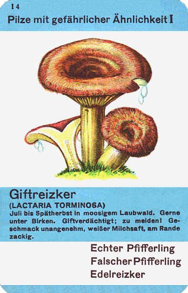 Spielkarte