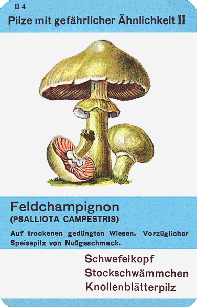 Spielkarte