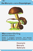 Spielkarte