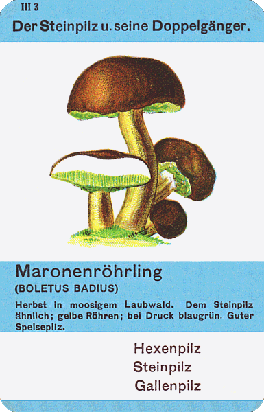 Spielkarte