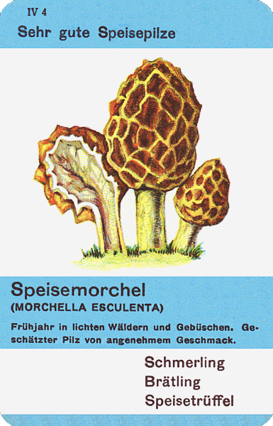 Spielkarte