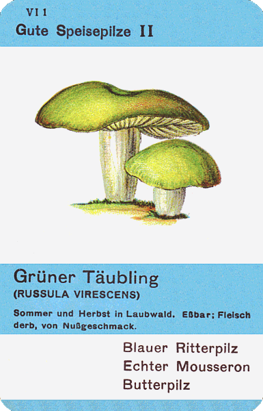 Spielkarte