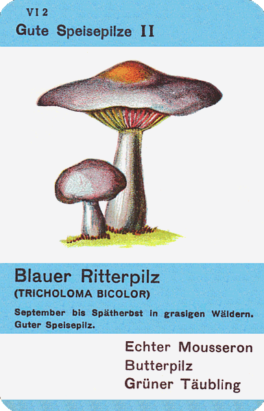 Spielkarte