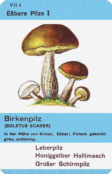 Spielkarte