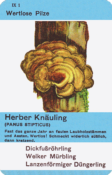 Spielkarte