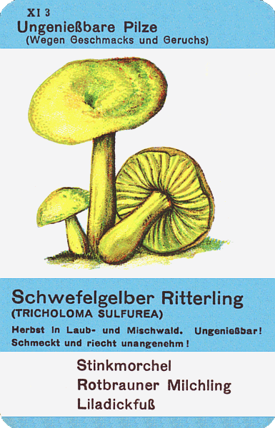 Spielkarte