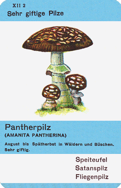 Spielkarte