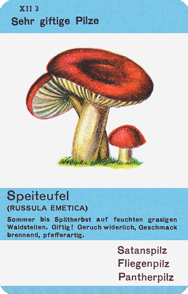 Spielkarte