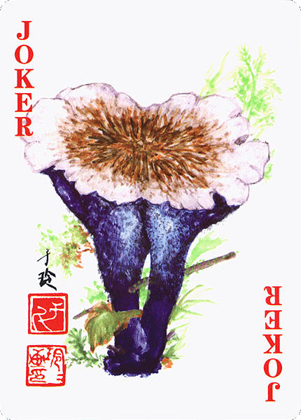 Spielkarte