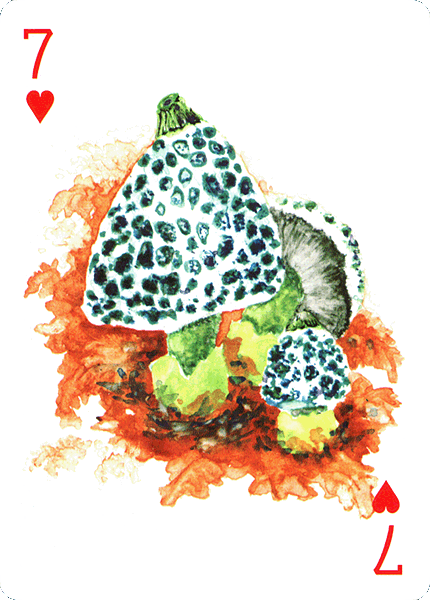 Spielkarte