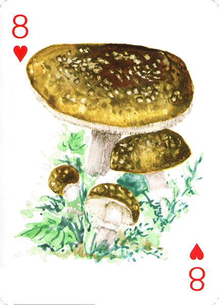 Spielkarte